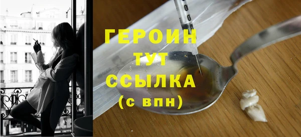 индика Новозыбков