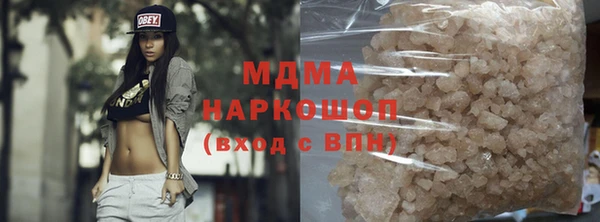 индика Новозыбков
