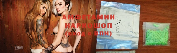 индика Новозыбков