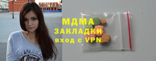 индика Новозыбков