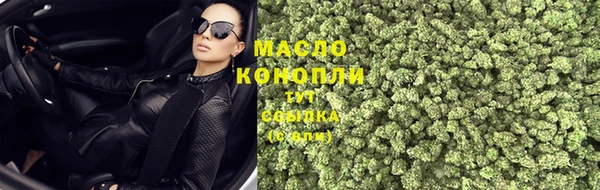 стафф Новодвинск