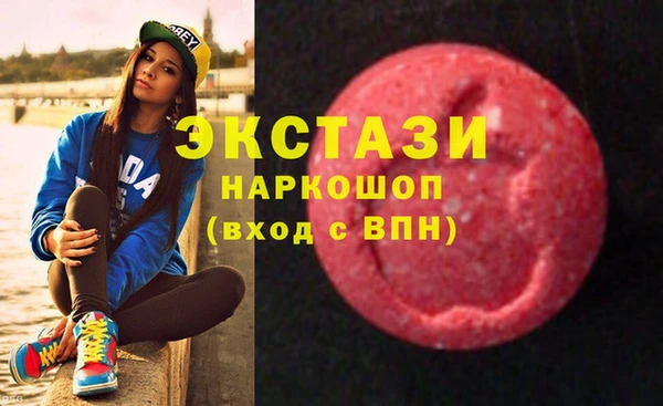 индика Новозыбков