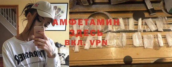 индика Новозыбков