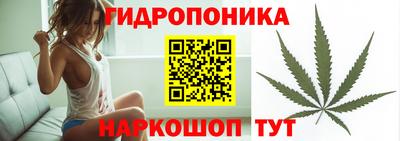 стаф Берёзовский