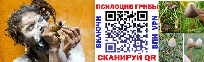 Псилоцибиновые грибы MAGIC MUSHROOMS  Шуя 