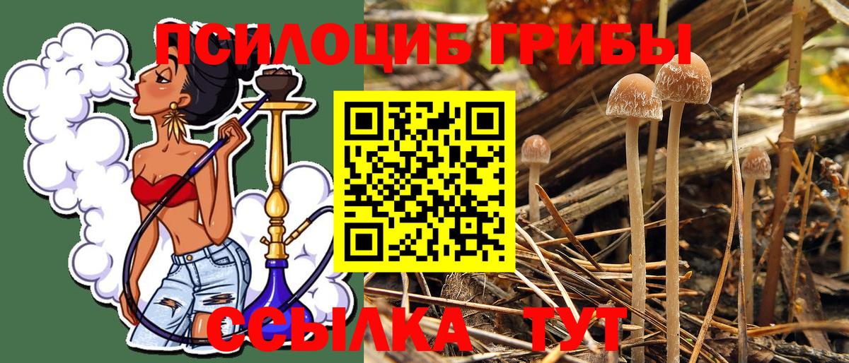 Псилоцибиновые грибы MAGIC MUSHROOMS  Шуя 