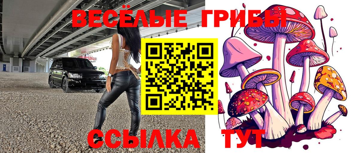 Псилоцибиновые грибы мухоморы Шуя
