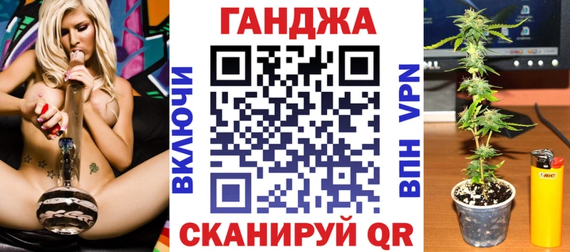 Бошки Шишки планчик  Шуя 